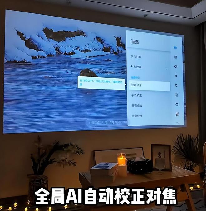 K2 Pro 评测：租房党平替电视优选p